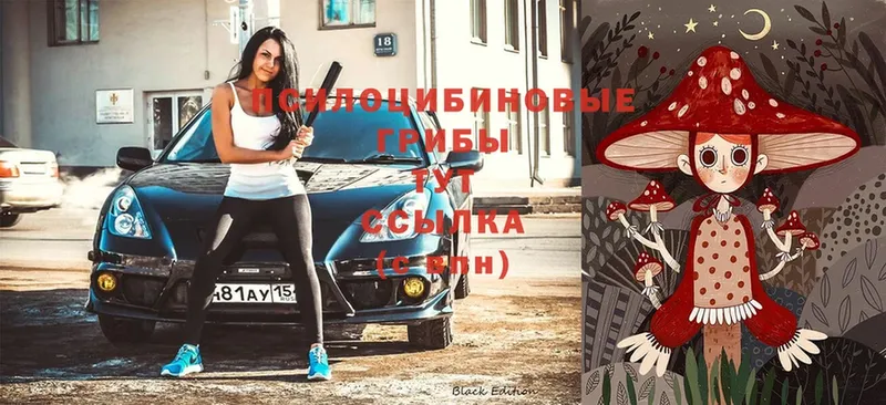 omg ССЫЛКА  Шебекино  Галлюциногенные грибы прущие грибы 