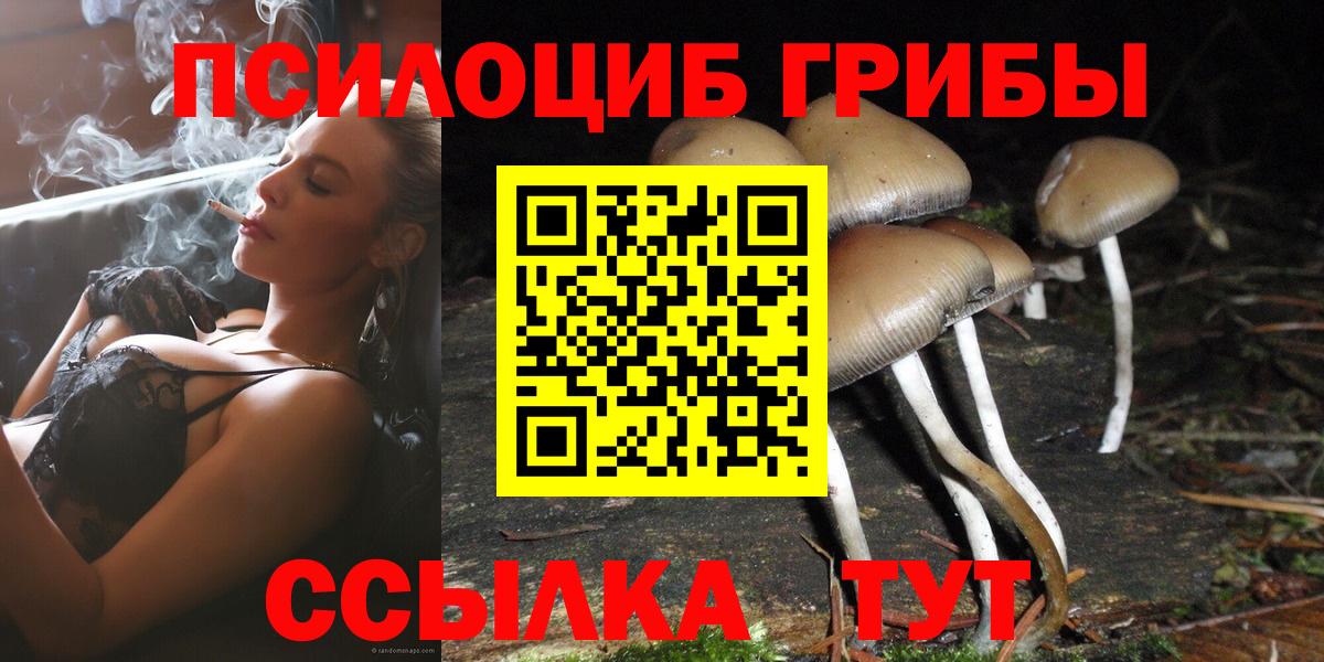 Псилоцибиновые грибы мухоморы  Вход с VPN  Шебекино 