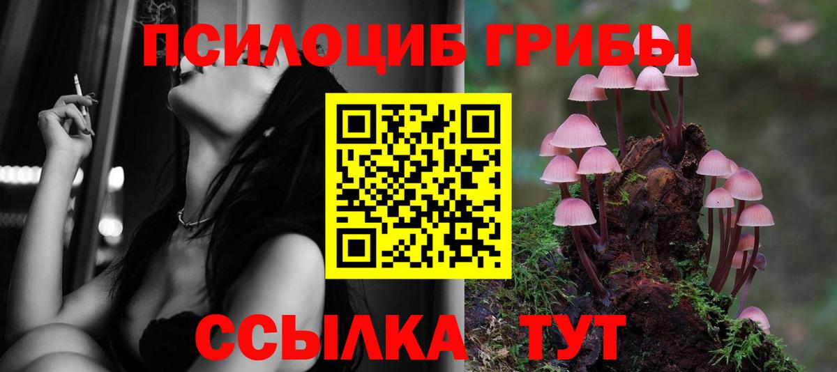 Галлюциногенные грибы MAGIC MUSHROOMS Шебекино