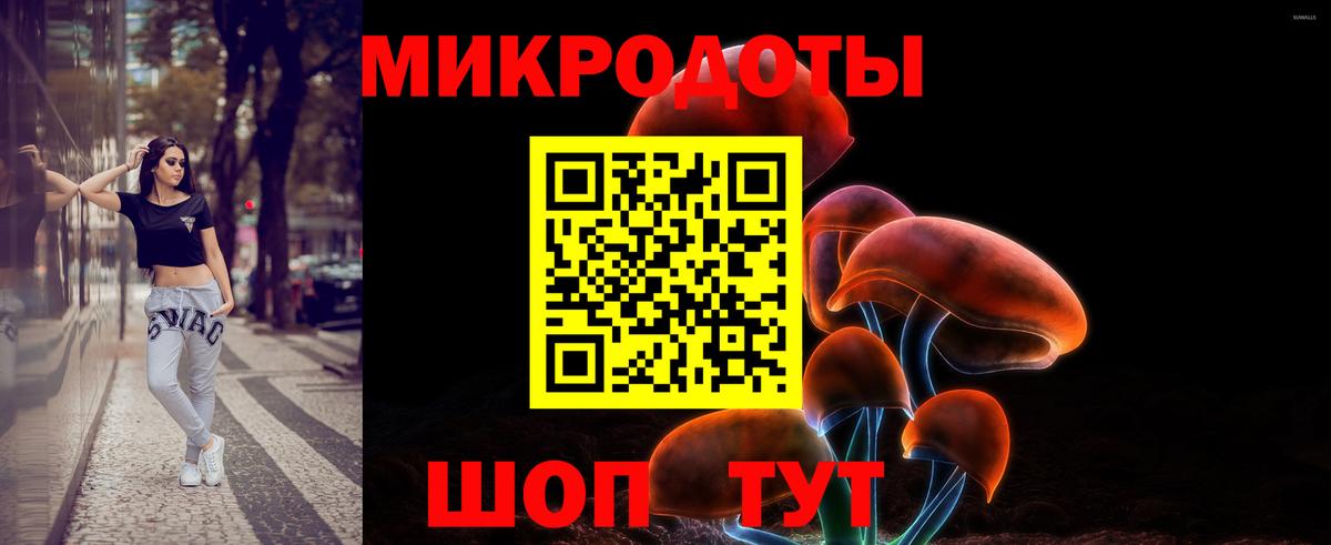 Галлюциногенные грибы Psilocybine cubensis  сколько стоит  Шебекино 