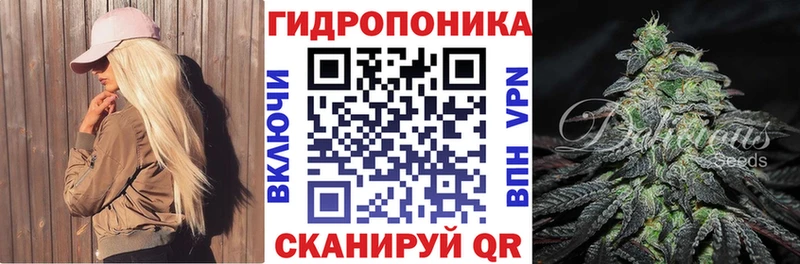Марихуана тримм  Шебекино 